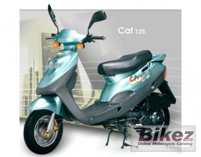 2008 Adly Cat 125 D photo